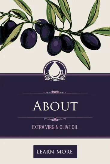 Illustrated olive branch with green olives above a banner reading ‘About – Extra Virgin Olive Oil,’ with a Learn More button