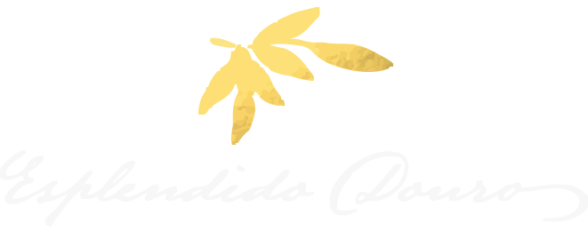 Gold script logo reading ‘Esplêndido Douro’ with elegant calligraphy on a transparent background, representing a premium olive oil brand