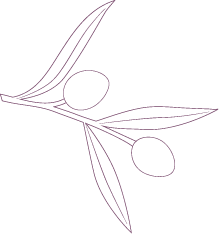Simple graphic on transparent background outline of olives and leaves
