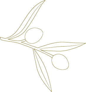 Graphic of two Esplendido Douro olives with leaves outlined on transparent background