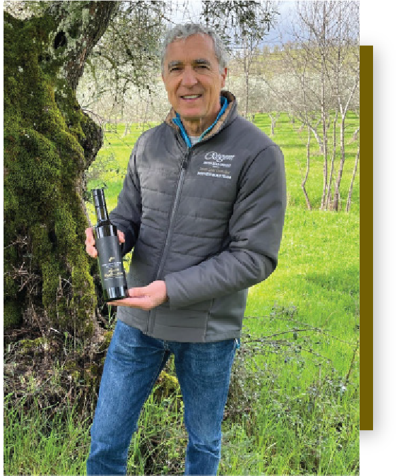 Jorge standing in an olive grove holding a dark glass bottle of Esplendido Douro olive oil beside an olive tree, with green grass and trees in the background.